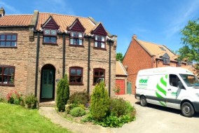 With Green Solidor